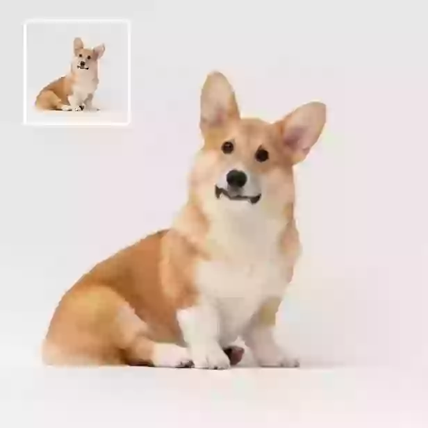 Bild-zu-Video-Generator - Erstellen Sie hochwertige Videos aus Fotos