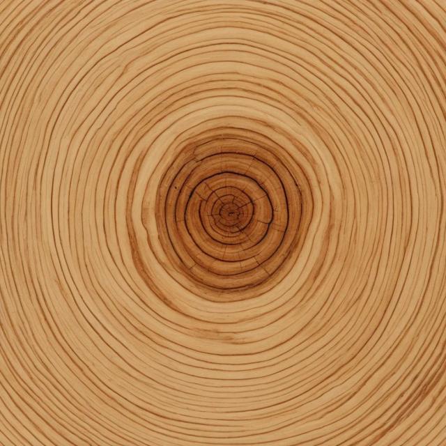 wood-board-texture template 2