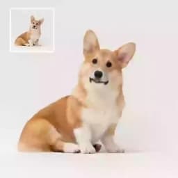 Bild zu Video placeholder